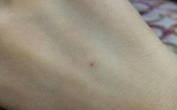 钻针眼是什么生肖？麻线穿针眼指什么生肖