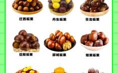 栗是什么生肖？栗的寓意是什么