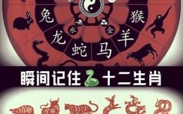 十二生肖排第八是什么？排第八的生肖