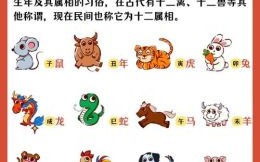 最短的生肖是什么生肖？十二生肖最慢的动物是哪肖