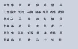 12生肖对肖是什么？十二生肖里代表什么生肖