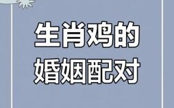 鸡三合是什么生肖？鸡和谁是天生一对