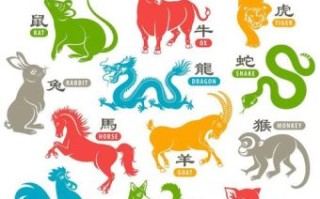 宠是什么生肖？宠字代表什么生肖