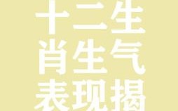 气是什么生肖？气打一准确生肖