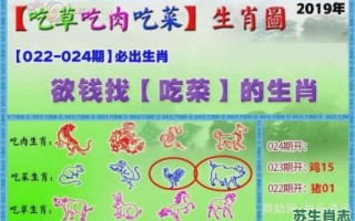 中是什么生肖？中字打一准确生肖