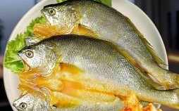 黄花鱼是什么生肖？黄花打一动物是什么