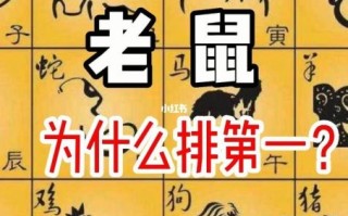 老肖是什么生肖？生肖中老大是哪一肖