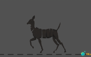 四足生守门关是什么生肖？四足生守门关正确答案