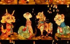 佛灯火是什么生肖？佛灯火打一准确动物