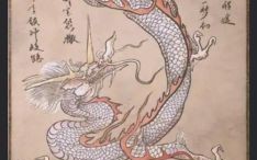 亢是什么生肖？亢金龙打一正确生肖