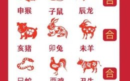 保守是什么生肖？保守打一精准生肖