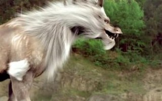 四不像生肖是什么？12生肖中什么动物四不像