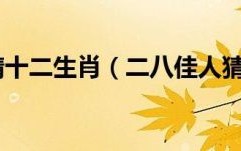 佳人指的是什么生肖？佳人是男肖还是女肖