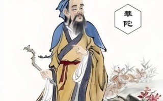 华佗是什么生肖？华佗打一个准确动物