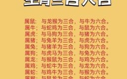 因子是什么生肖？因子打一准确生肖
