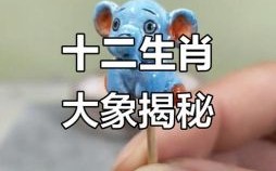 大象是什么生肖？大象打一个最佳生肖