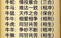 2009是什么生肖？2009年1月属鼠还是属牛