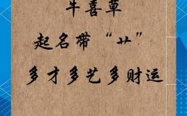 草是什么生肖？草打一个准确的生肖