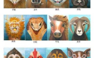 一生九死是什么生肖？九死一生暗示数字几