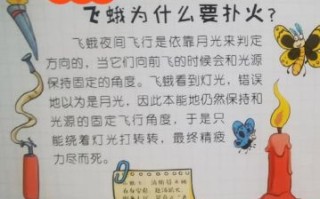 飞蛾扑火是什么生肖？朦朦胧胧是什么生肖