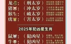2025年是什么生肖？2025年的人属啥