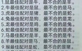 04年是什么生肖？2025年属猴最佳婚配
