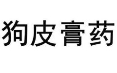 狗皮膏药是什么生肖？狗皮膏药打一最佳动物
