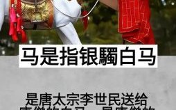 西游记唐僧是什么生肖？唐僧指什么生肖最佳答案