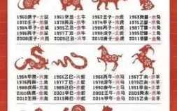 必的生肖是什么？2019年是什么生肖