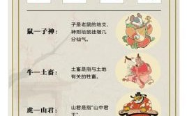 能知玄机妙是什么生肖？玄机在十二生肖是谁