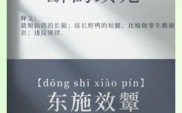 东施效颦是什么生肖？东施是女肖还是男肖