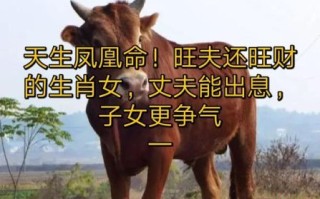 最长命的动物是什么生肖？命最好的生肖女第一名