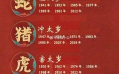 三虎是什么生肖？三虎命是什么命