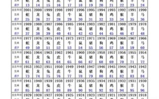 05年是什么生肖？2025年出生的属什么