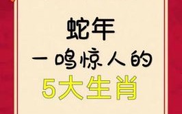 春回大地是什么生肖？春回大地打一准确生肖