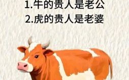 牛高三尺三是什么生肖？三尽牛腰三尺尾打一肖