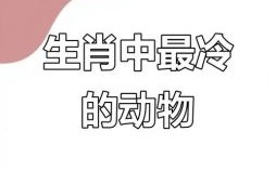冷是什么生肖？冷打一准确生肖