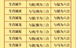 六七八是什么生肖？六七八打一最佳生肖