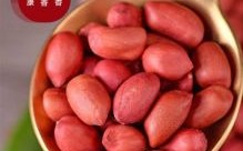 花生去皮红人仁是什么生肖？花生去皮红人打一动物