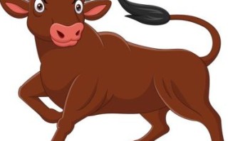 29号生肖是什么？29打一最佳动物