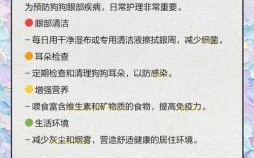 眼睛红红的是什么生肖？红红眼睛打一准确动物