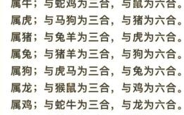 三伴是什么生肖？四海三山打一生肖