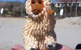 国家生日是什么生肖？生日代表什么动物