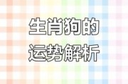 2026年生肖狗运程将如何变化？事业与情感运势有哪些关键点需要注意？