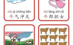 鼠目寸光的生肖是什么？鼠目寸光打一准确动物