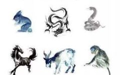 呼风唤雨是什么生肖？呼风唤雨打一最佳动物