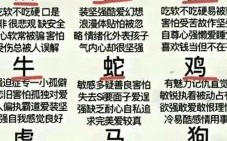 两家是什么生肖？沉字打一生肖