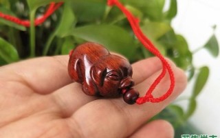 欲钱去找刚出世婴儿是什么生肖？早晚出门添衣裳打准确生肖