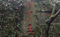 西出阳关见瘦马是什么生肖？西出阳关见瘦马准确一肖