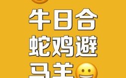 队友是什么生肖？队友来了打一准确生肖